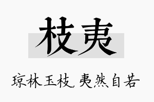 枝夷名字的寓意及含义