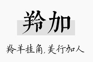 羚加名字的寓意及含义