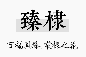 臻棣名字的寓意及含义