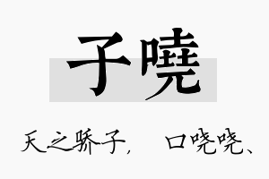 子哓名字的寓意及含义