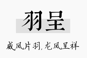 羽呈名字的寓意及含义