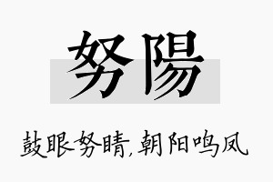 努阳名字的寓意及含义