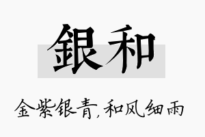 银和名字的寓意及含义