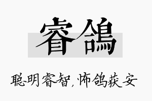 睿鸽名字的寓意及含义