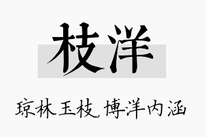 枝洋名字的寓意及含义