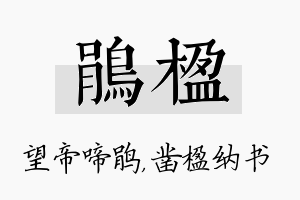 鹃楹名字的寓意及含义