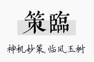 策临名字的寓意及含义