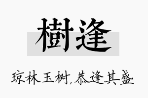 树逢名字的寓意及含义