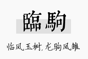 临驹名字的寓意及含义