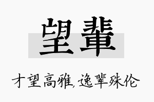 望辈名字的寓意及含义