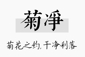 菊净名字的寓意及含义