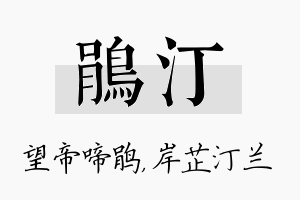 鹃汀名字的寓意及含义