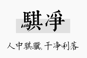 骐净名字的寓意及含义