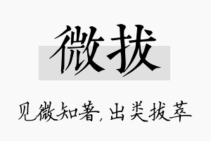 微拔名字的寓意及含义