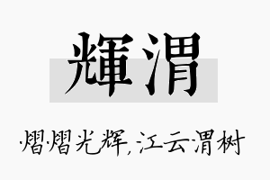 辉渭名字的寓意及含义