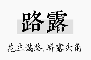 路露名字的寓意及含义