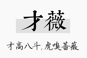 才薇名字的寓意及含义