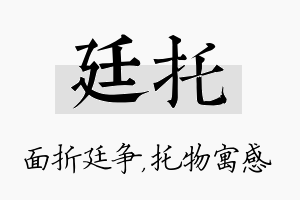 廷托名字的寓意及含义