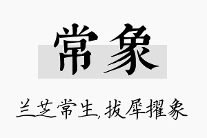 常象名字的寓意及含义