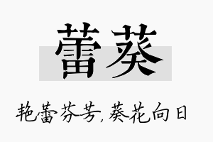 蕾葵名字的寓意及含义