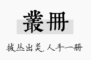 丛册名字的寓意及含义