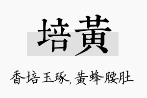 培黄名字的寓意及含义