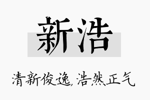 新浩名字的寓意及含义