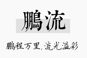 鹏流名字的寓意及含义