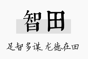 智田名字的寓意及含义