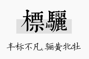 标骊名字的寓意及含义