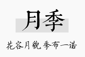 月季名字的寓意及含义