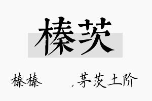 榛茨名字的寓意及含义