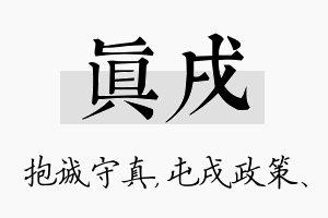 真戌名字的寓意及含义