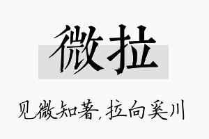 微拉名字的寓意及含义