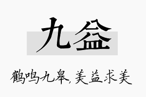 九益名字的寓意及含义