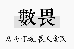 数畏名字的寓意及含义