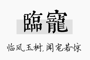 临宠名字的寓意及含义