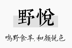 野悦名字的寓意及含义