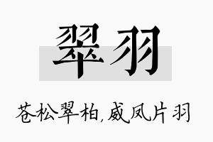 翠羽名字的寓意及含义