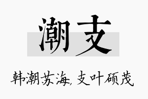 潮支名字的寓意及含义