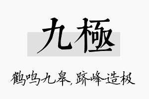 九极名字的寓意及含义