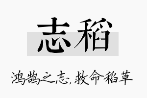 志稻名字的寓意及含义