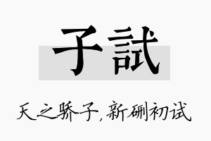 子试名字的寓意及含义