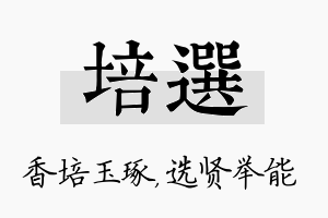 培选名字的寓意及含义