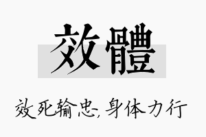 效体名字的寓意及含义