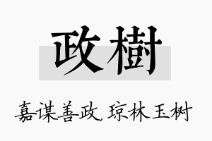 政树名字的寓意及含义