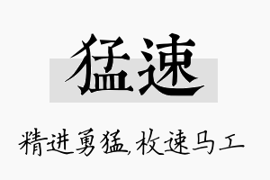 猛速名字的寓意及含义