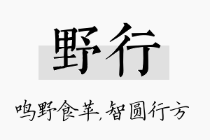 野行名字的寓意及含义