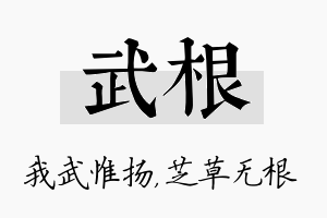 武根名字的寓意及含义