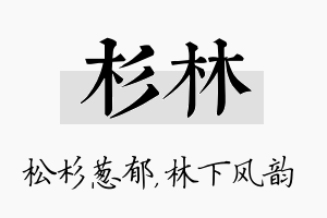 杉林名字的寓意及含义